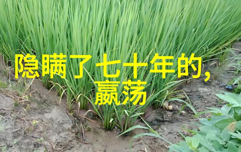 历代王朝物品陈琦玉