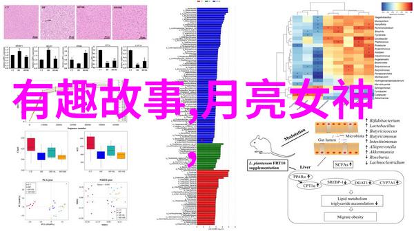 什么是适合所有人的三人运动策略