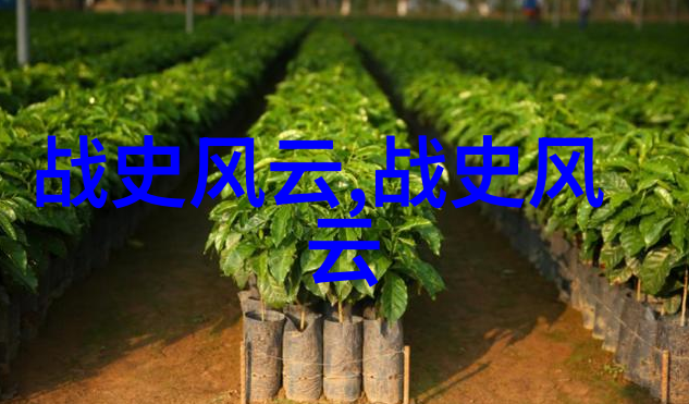 探秘历史揭开尘封的趣闻故事
