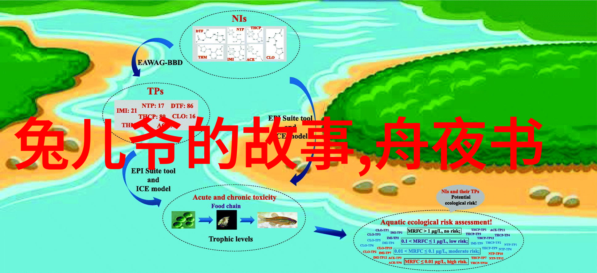 书外之音课本背后的未解之谜