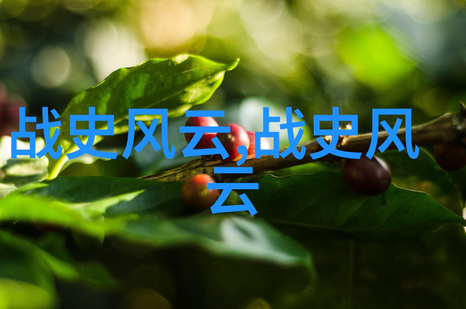 中国古代历史故事精选传统文化古代传奇英雄事迹