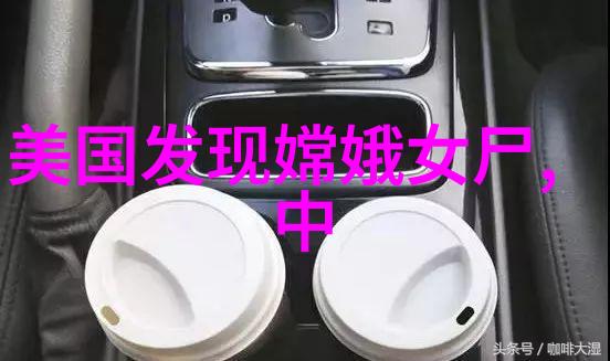 在探寻传统中国文化成就有哪些之际我们不应忽视元太祖成吉思汗的大事年表这一历史人物与其时期的重大事件相