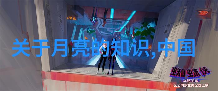 探索赵露思的B美一场味觉与审美的双重挑战