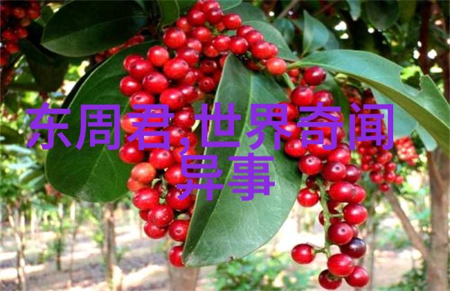 电影版豫剧打金枝全场朱桂芹的旦行演绎
