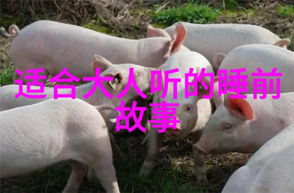 赵构宋朝皇帝中的明镜般清晰的智慧与勇气照亮了历史的长河