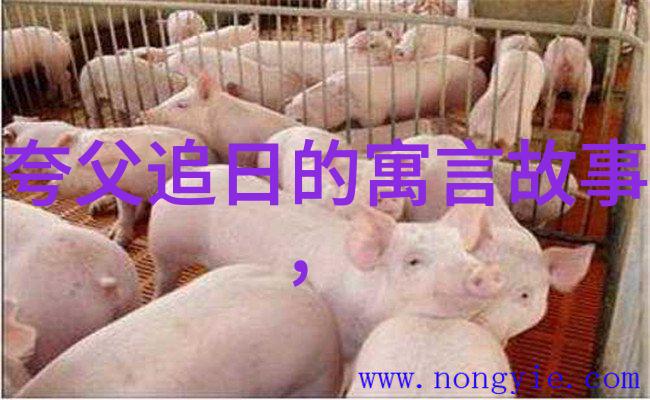 潜规则3揭秘隐蔽的游戏规则