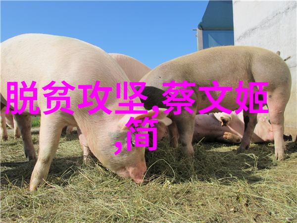 建国后不能说的事件我那些不敢跟外婆说的话