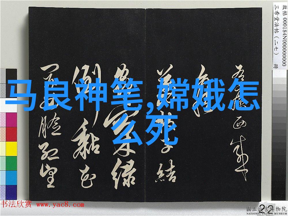 岳飞之死与靖康之耻历史的悲剧交织