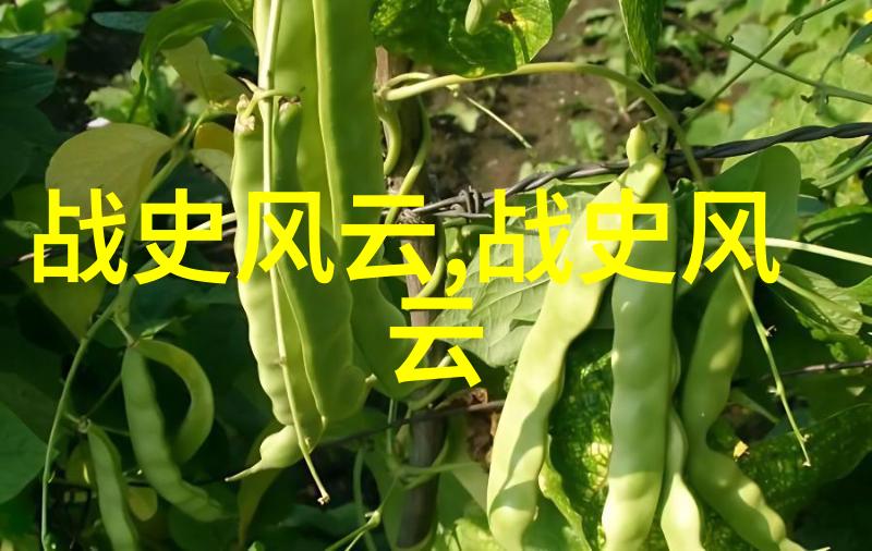 多尔衮的孝庄之恋一场宫廷里的秘密游戏