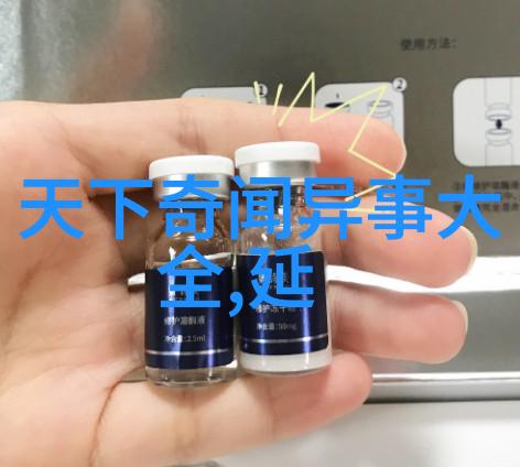 梦想与现实交汇点小学四年的美好寻访