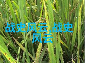 古代下嫁蒙古的公主为什么大多都没有生育