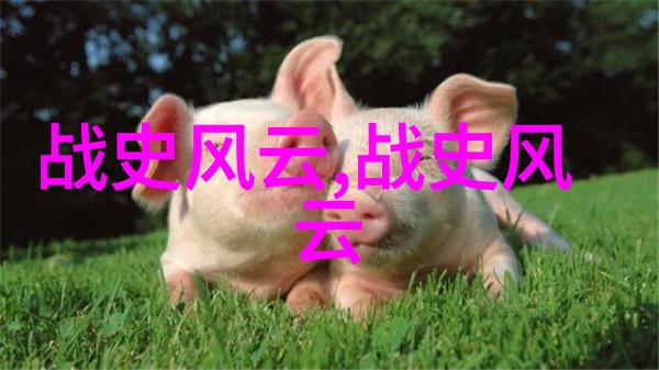 穿梭于夜幕下的暗杀者49式动作的秘密