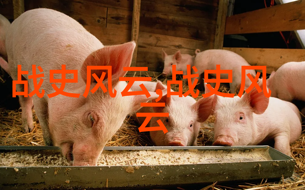 清朝皇帝顺序的遗憾故事他们在死后被安葬的地方