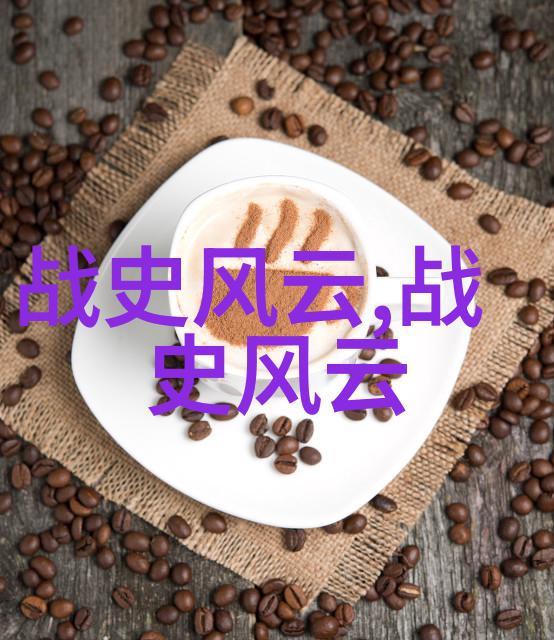 二战时期的著名故事-雪花行动英勇的荷兰女孩与她的无线电
