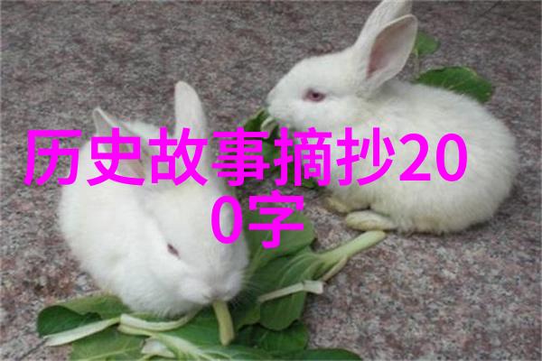 天下名臣录古代中国官场排行的艺术