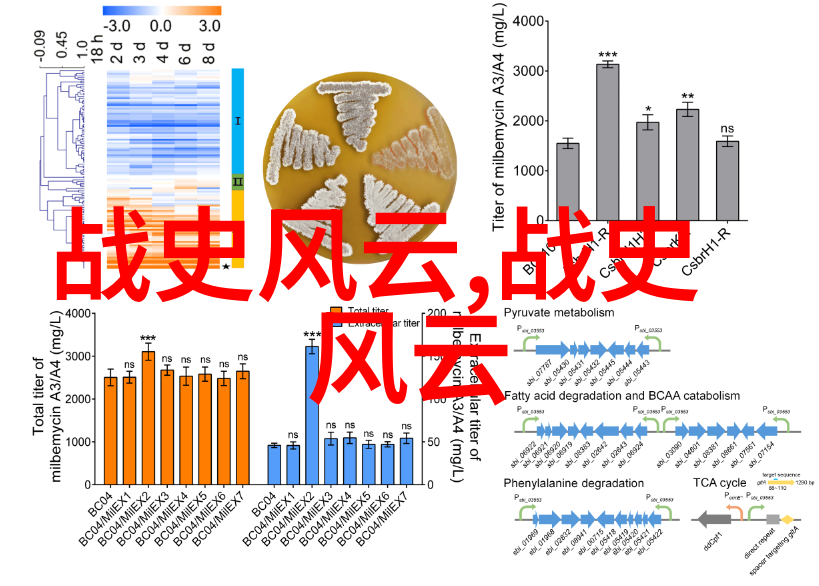 慕容晓晓黄梅戏中的旦行天使