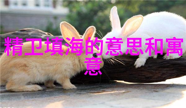 神话故事中的成语探究解读古典文化的隐喻与寓意