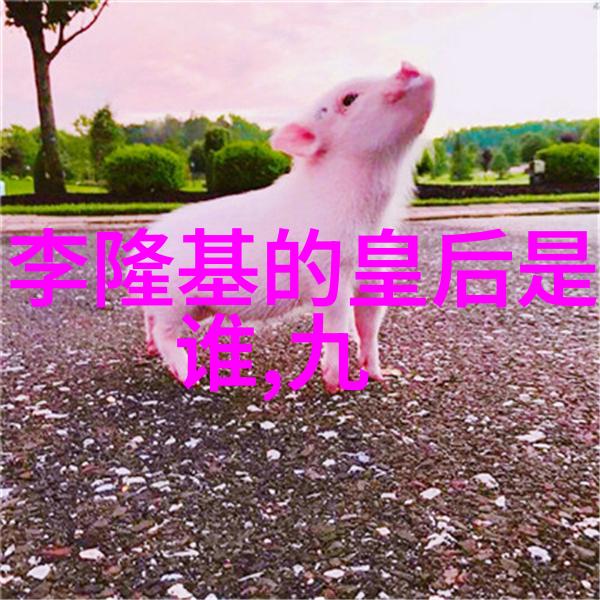 中华民族的象征龙与凤凰的传说
