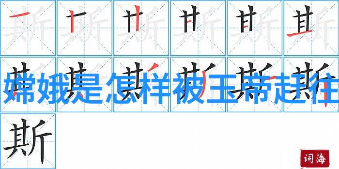 全国学生体质健康网正如一张张健康的照片一幅幅活力图画记录着青春的每一步进步