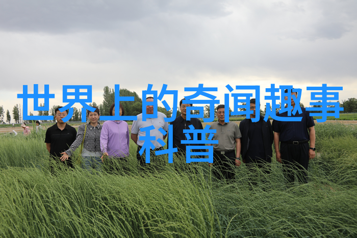 戏曲大全黄梅戏中的音乐之魂徐代泉的黄梅旋律传承