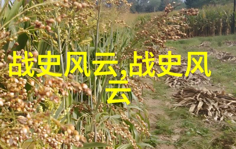 子之公元前314年春秋战国交错英雄辈出
