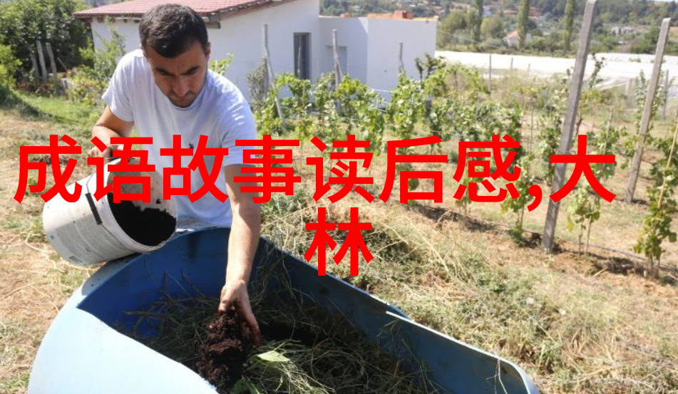 绝代家奴极品家丁的忠诚与秘密