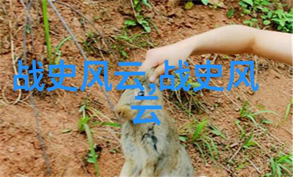 历史的回响时间的长河中沉浮的人类梦想