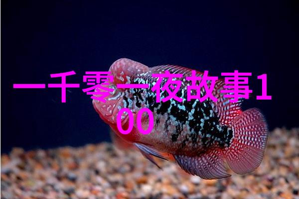 1840-1949大事年表解密清朝灭亡后禁卫军的神秘消失