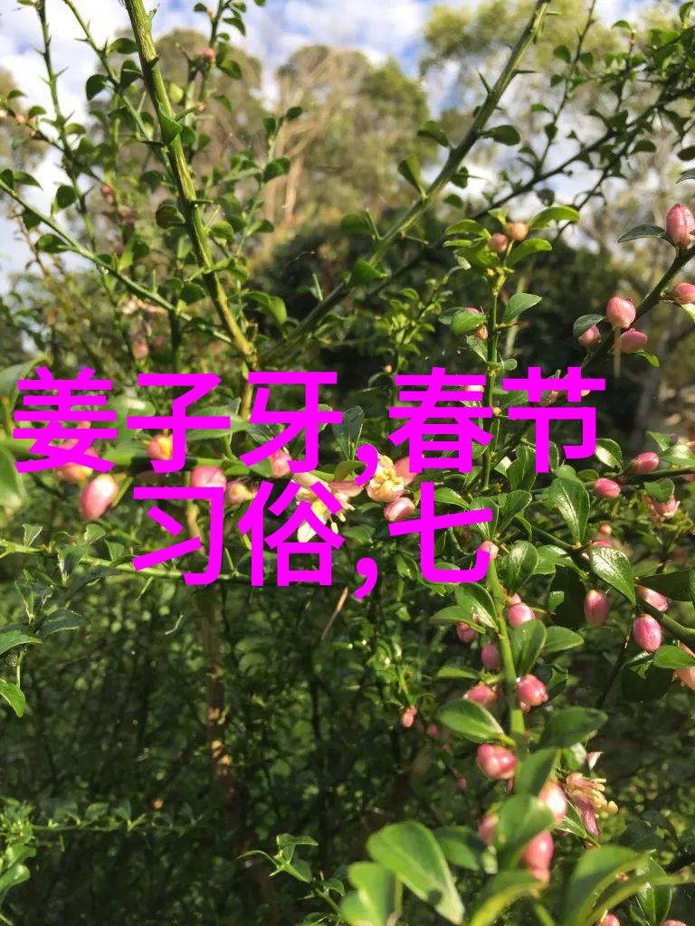 步履不停的传统探索49式动作的魅力与挑战