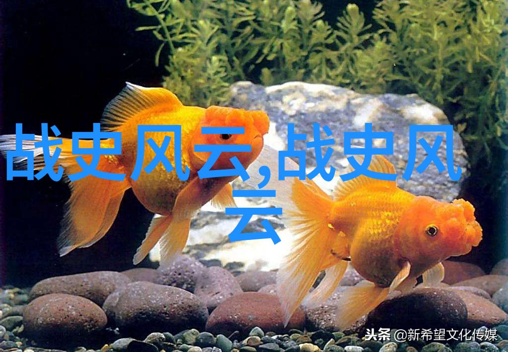 中国名人事迹唐代诗人杜甫的文学贡献
