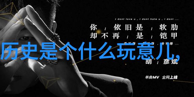 清朝皇帝的妃子都是层层挑选出来的为何留下的照片都是丑答案隐藏在纳兰性德的长相思中