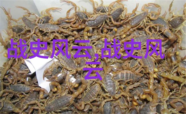 他真的能治好所有的病吗探索古代医圣华佗的神奇疗法