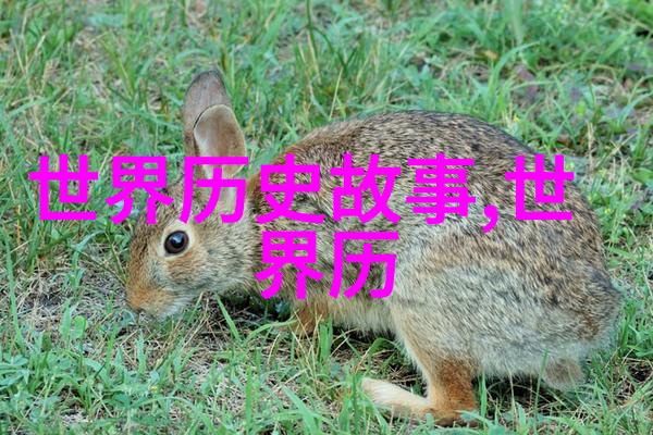 夏日阅读探索知识与情感的无限可能