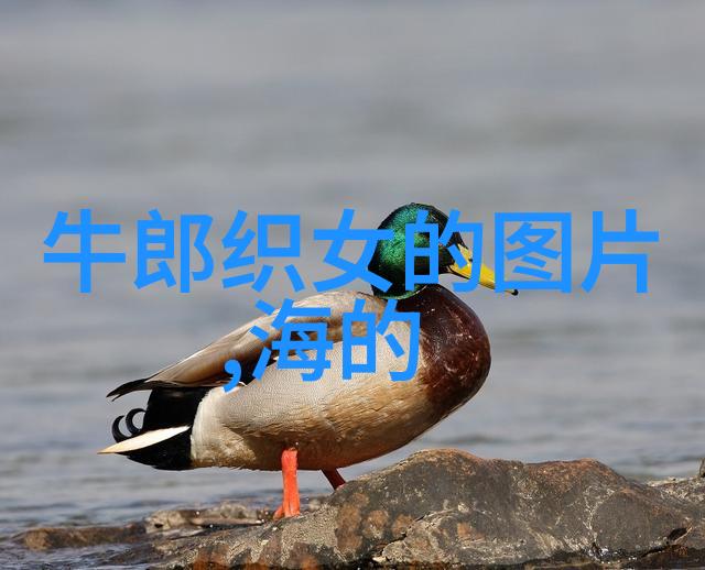 盛世唐朝的荒唐皇帝谁能踢球得好就能官至高位