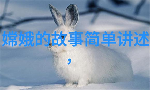 中华文化宝库典故成语大全及解释深度探究
