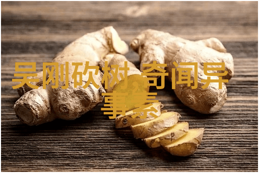 中国神话故事的丰富多彩传说中的龙凤与仙