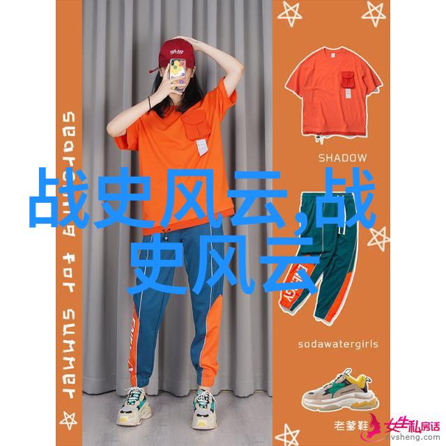 对外关系与边疆管理分析一下南宋对西夏和蒙古的态度