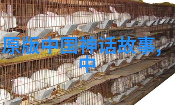 东方神话龙的守护者