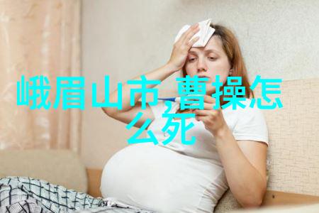 郑若曾为什么朱祁镇要杀张太后物品背后的权力博弈