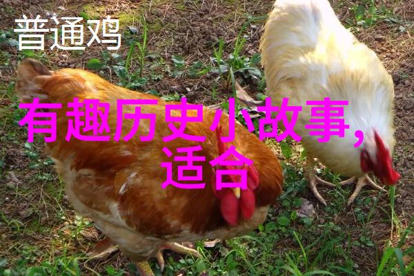 21世纪野史未知领域的探险者