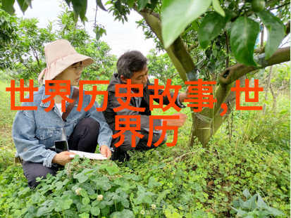 奇迹般的回忆录揭秘2023年那些让人难以置信的故事