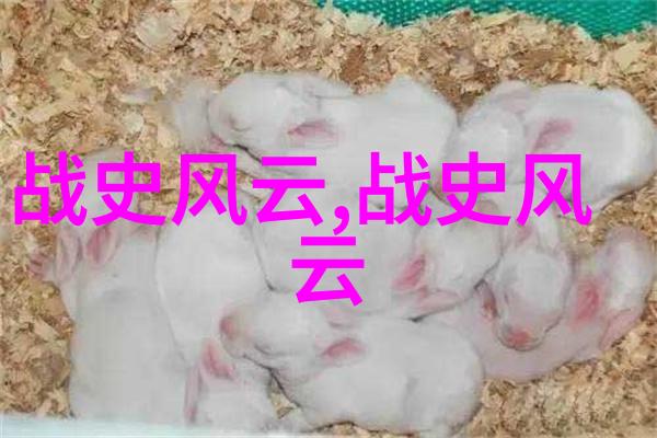 端午节的来历追溯龙舟粽叶与巫山之谜