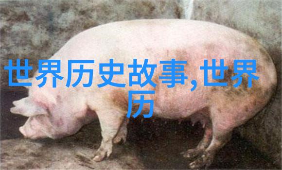 黄飞鸿如何与年轻时期的小龙女相遇并引领她成长为仙人