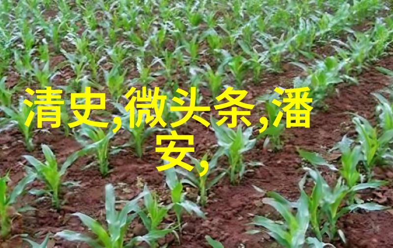 五千年辉煌中华文明的传唱