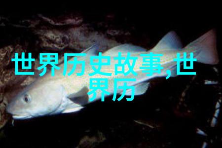 五代十国与宋朝的辉煌历史简介探究