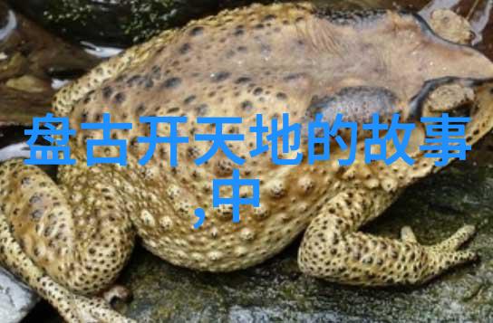 沉香豌豆的文本之旅追逐味蕾的诗篇