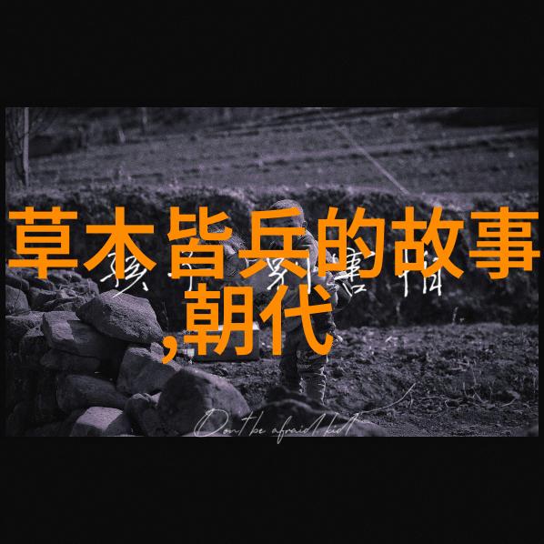 赵兵伟河南豫剧曲剧大全全集的票友之旅