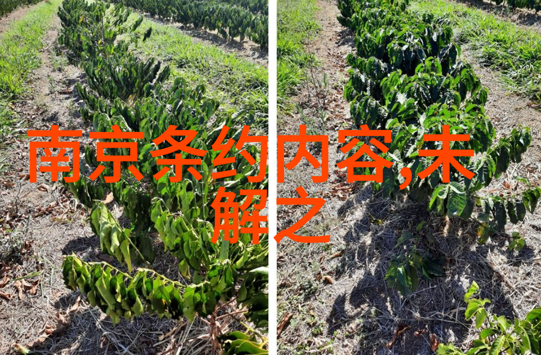 帝影幽闻录揭秘古代帝王私生活的荒唐趣事