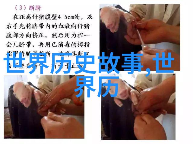 我是歌手第四季完整版视频免费王一博应援口号之旅