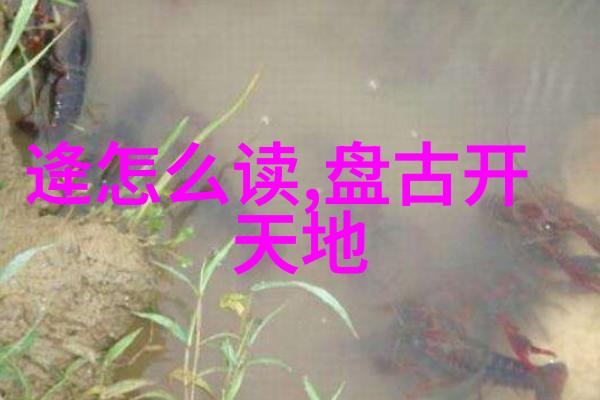 文化遗产守护者这些书籍保留了多少关于文化传统的珍贵信息